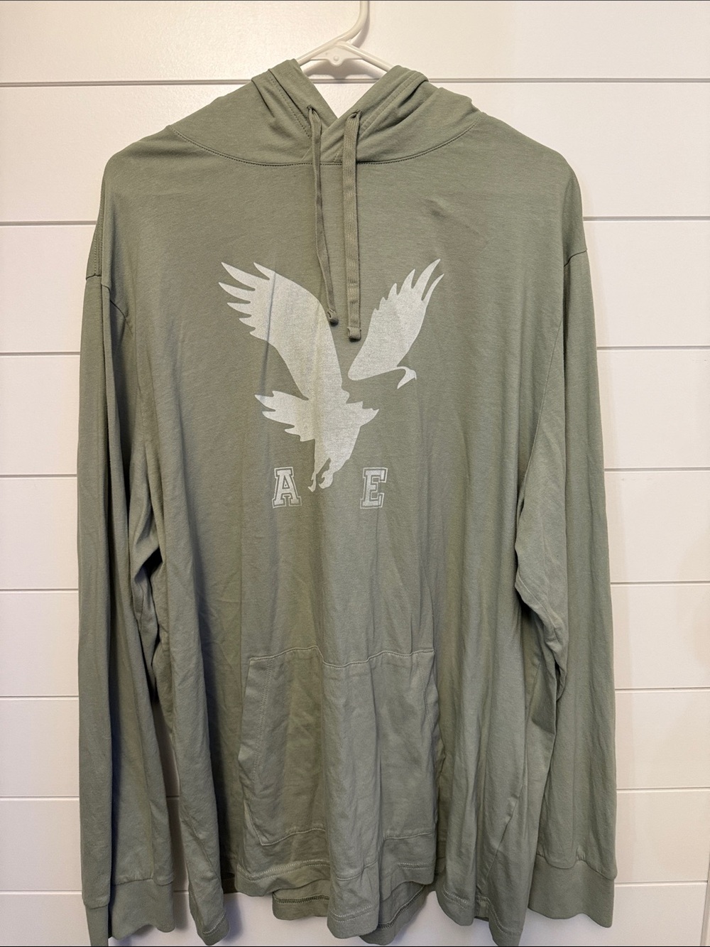 American Eagle Light Sage Pullover Hoodie